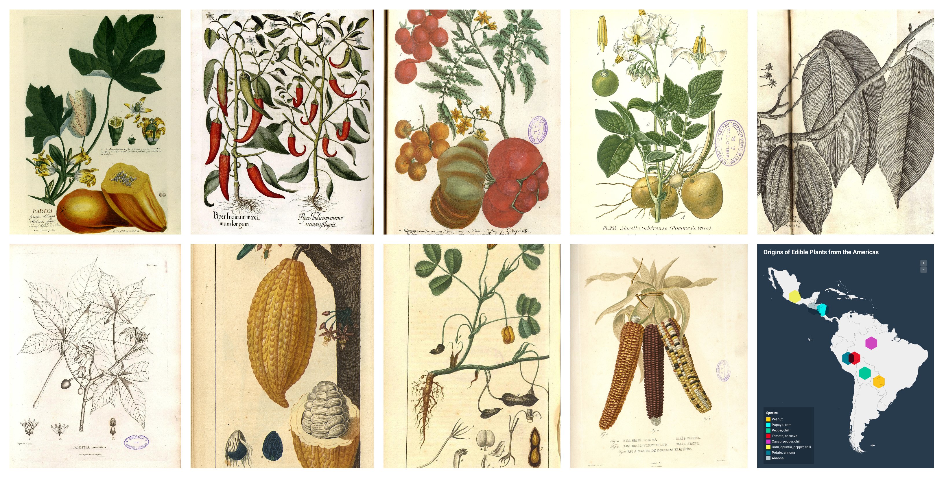 Exposición Virtual Bibloteca RJB