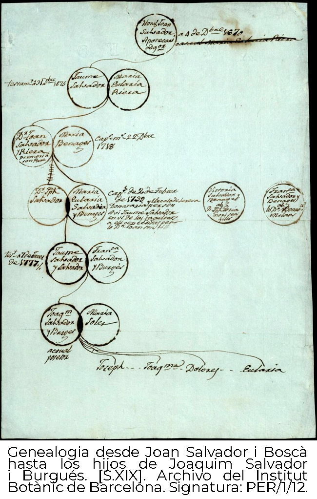 Genealogía Familia Salvador
