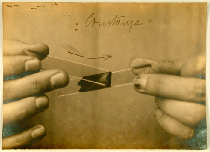 Dos manos mostrando una preparación histológica