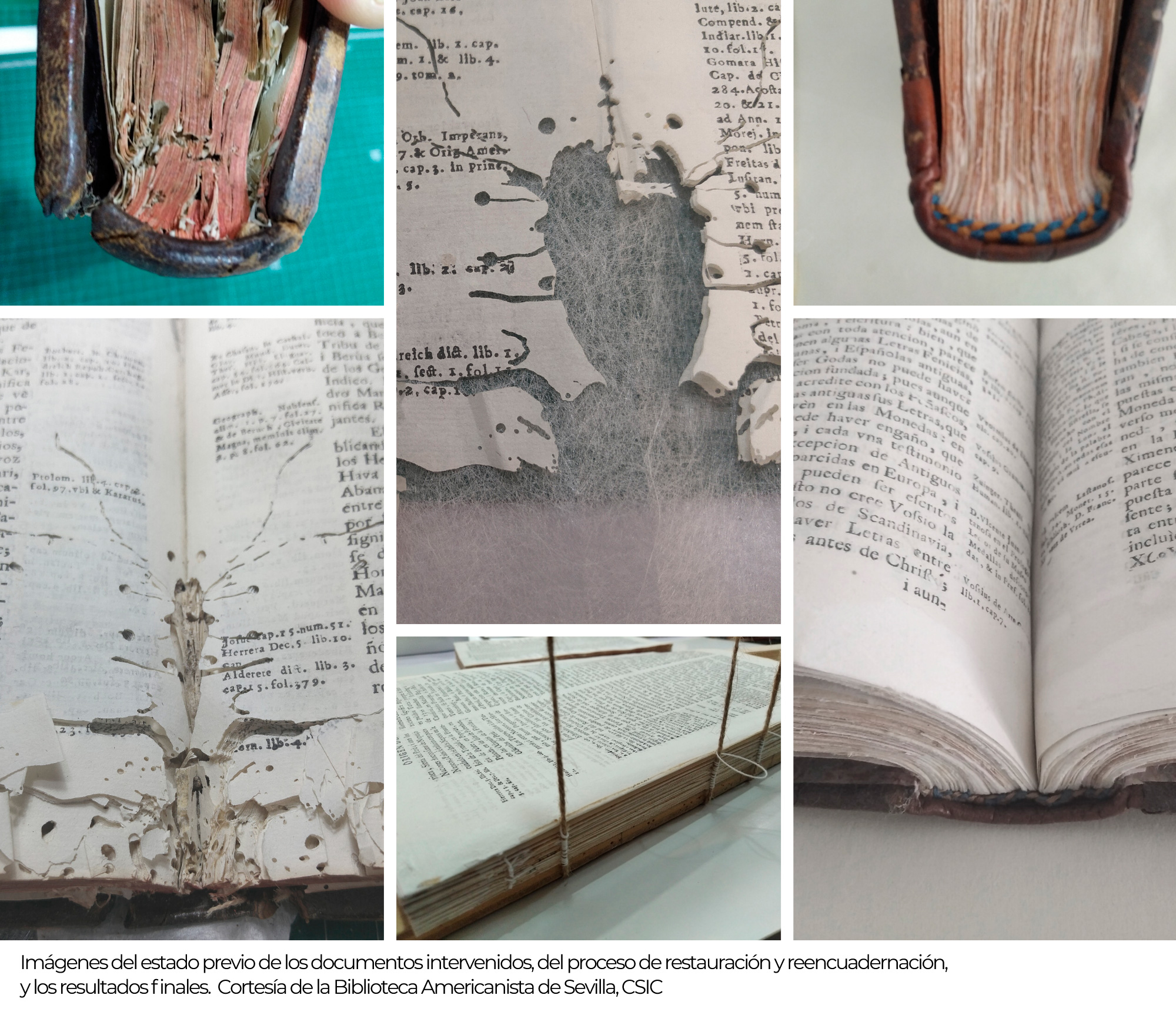 Día del restaurador