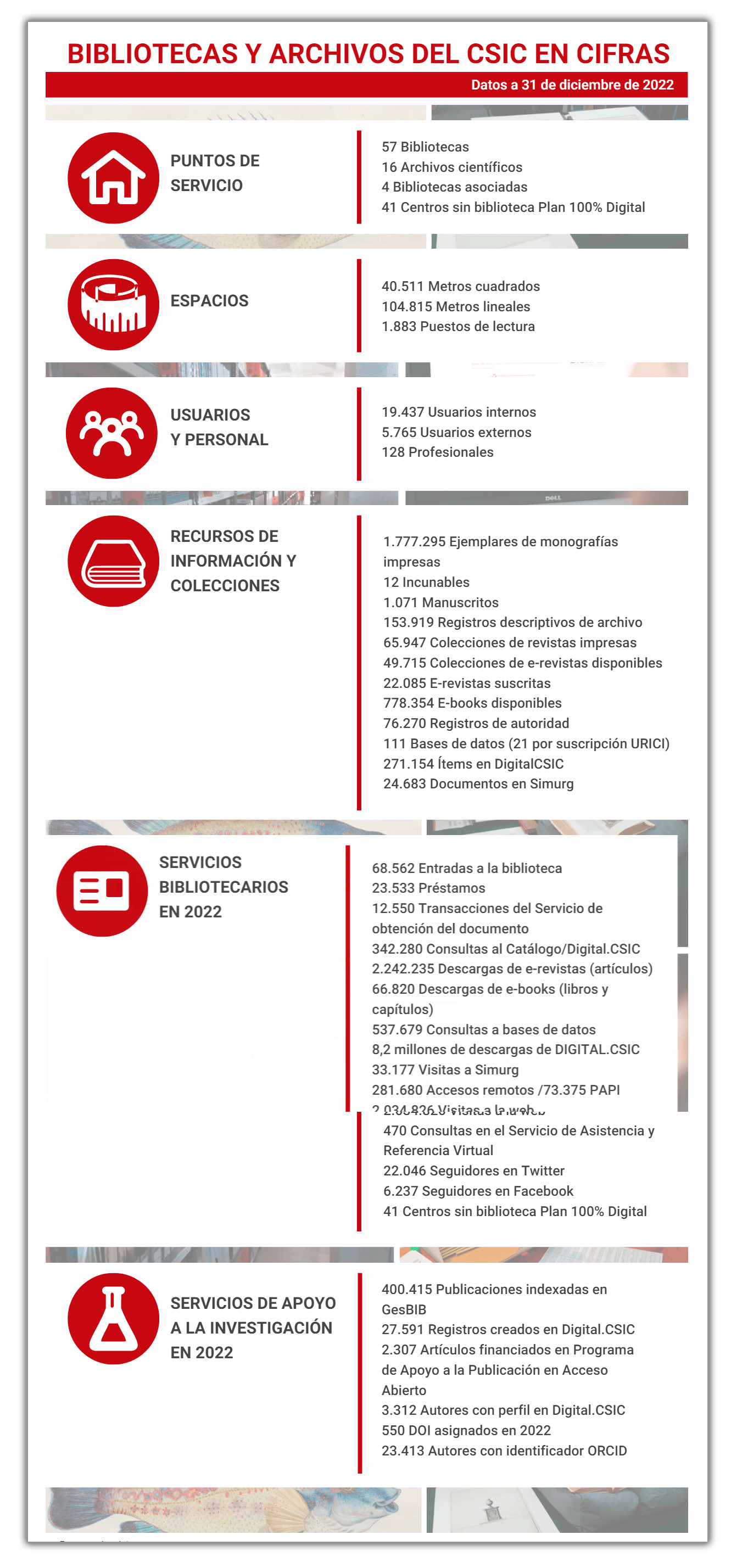 Datos básicos 31 12 2022