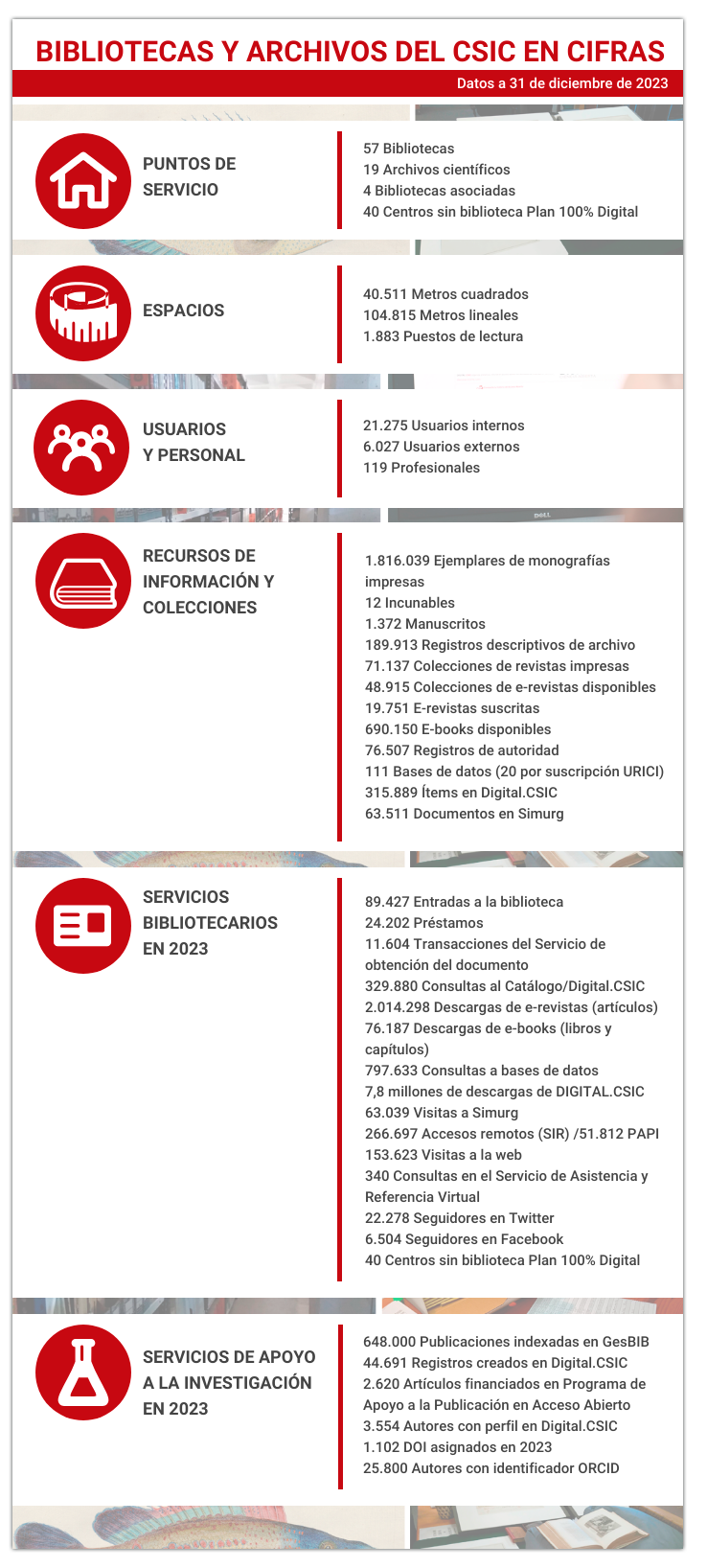 Datos básicos 31 12 2023