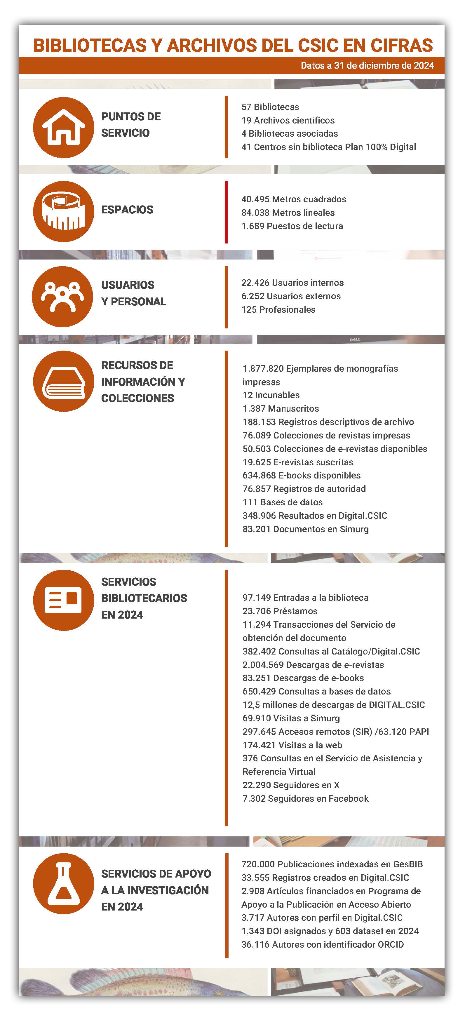 Datos básicos a 31 12 2024