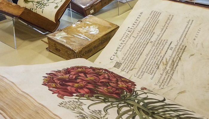 Noche de los Libros RJB