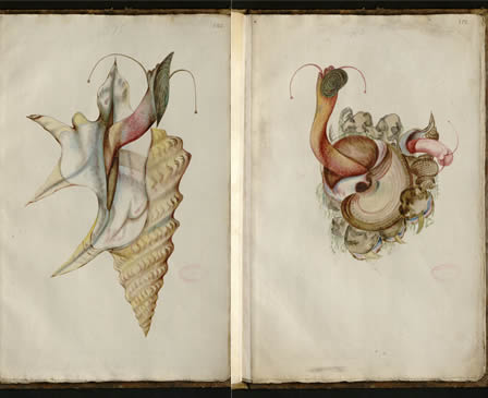 Dia Preservación Imagenes