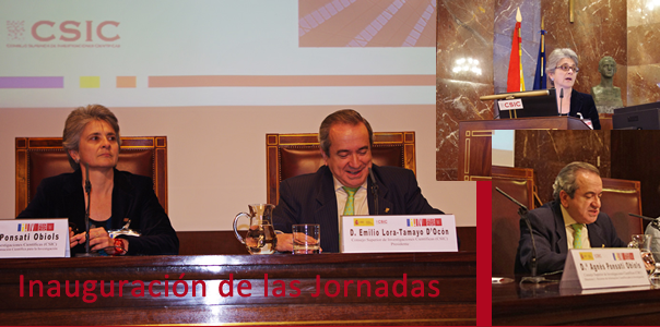 Inauguración de las IV Jornadas