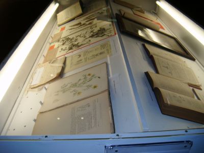 Fondo Cadevall IBB-CSIC