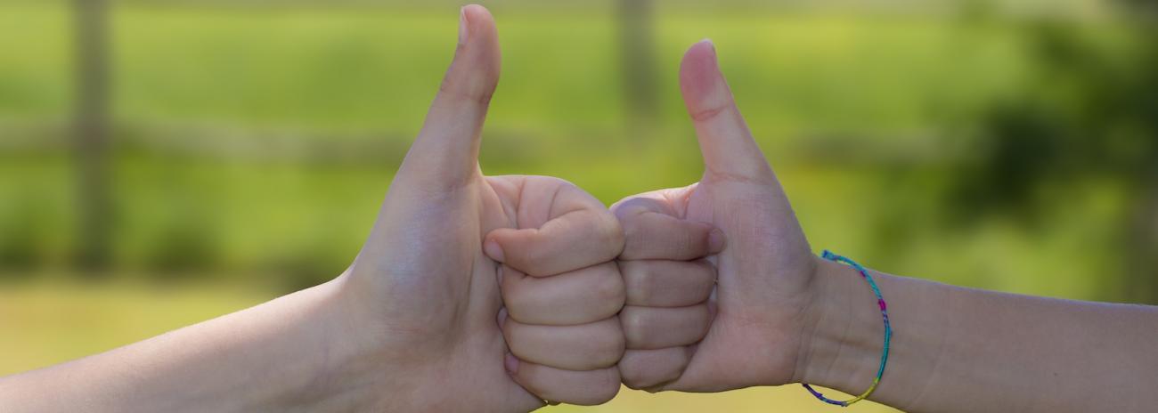 Encuesta de satisfacción a usuarios de los servicios de biblioteca del CSIC 2020