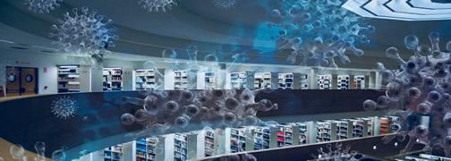 Nuevo número de la revista Enredadera. "La Red de Bibliotecas y Archivos del CSIC durante el confinamiento"