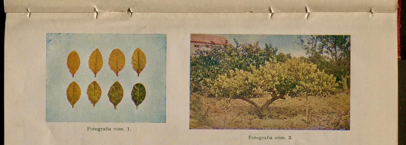 Digitalización de las revistas sobre Ciencia del Suelo editadas entre 1942 y 1992