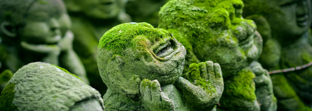 Libraria y Berghahn Open Anthro: iniciativa de acceso abierto para revistas de antropología