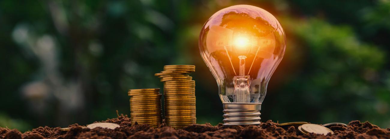 Research Professional