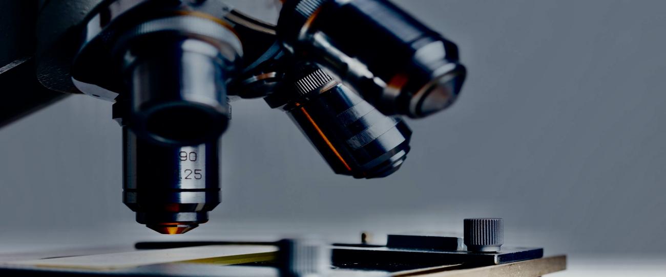 El CSIC y Crue firman con Elsevier un acuerdo para publicar artículos de los científicos españoles en acceso abierto