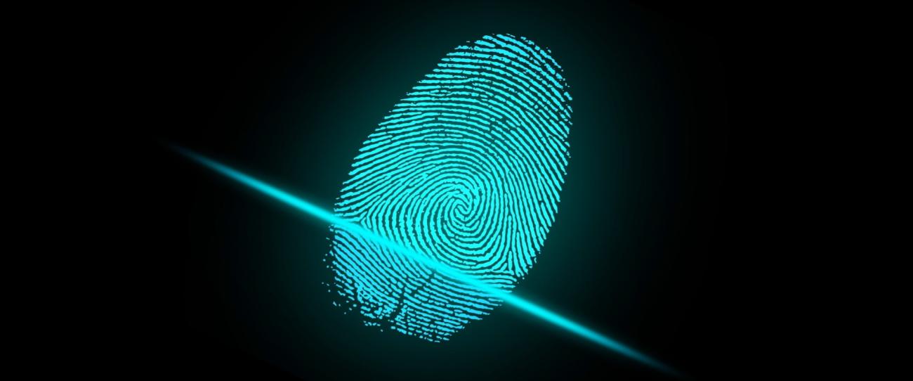 Avances de la implantación de ORCID entre los usuarios CSIC