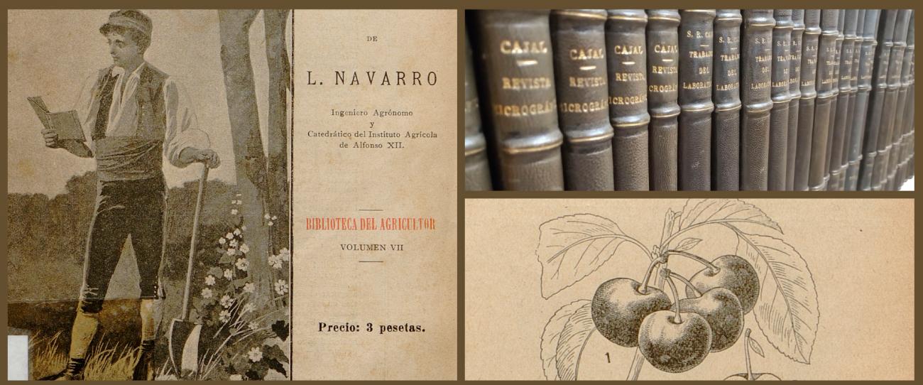 Nuevas incorporaciones a Simurg