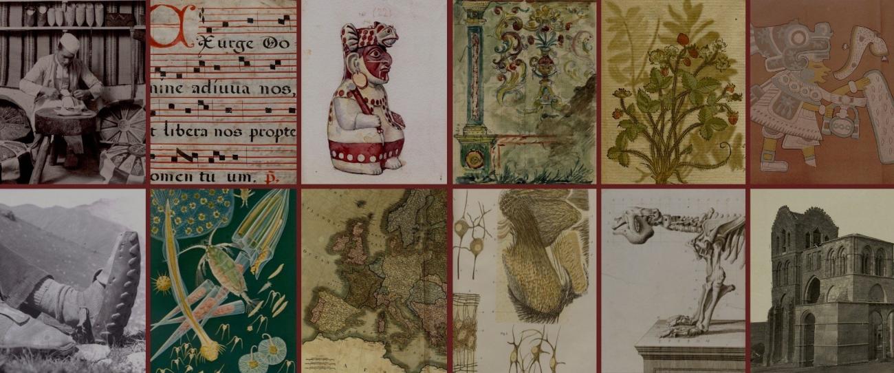 Felicitación Navidad 2021