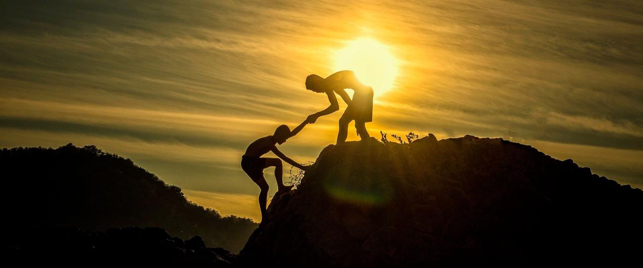 El Programa de Apoyo a la Publicación en Acceso Abierto para Autores del CSIC  financia en 2021 casi 2000 artículos científicos