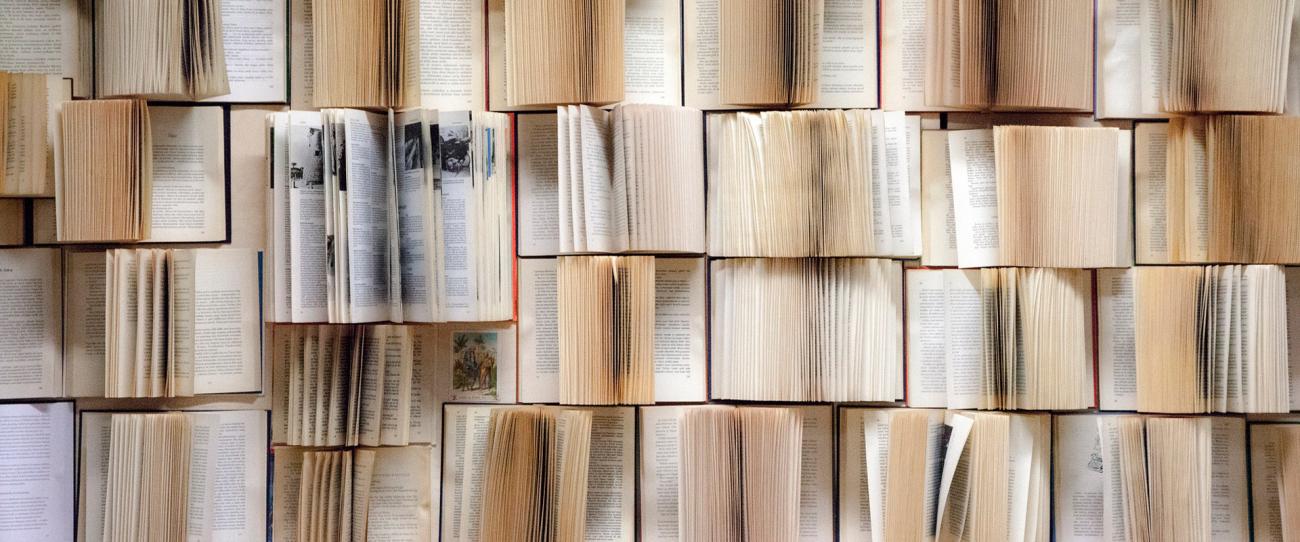 Normativa de reproducción de fondos